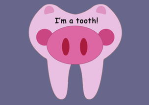 tooth复数单词怎么写，tooth复数怎么写?