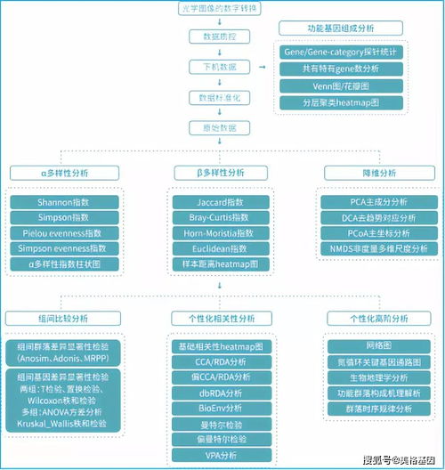 chip怎么读英语