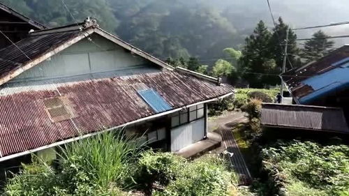 田舍益家，田舍是什么意思
