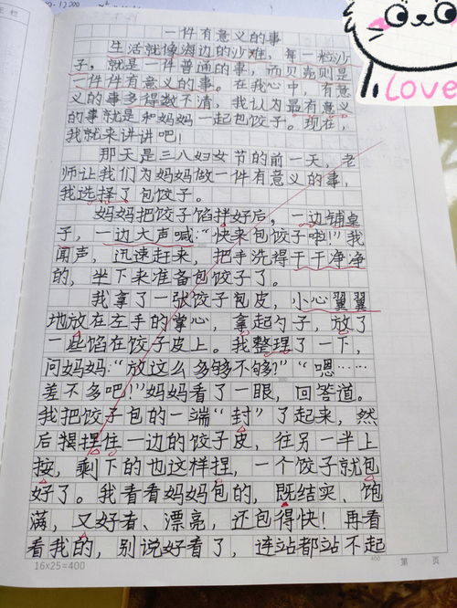 关于一件有意义的事作文精选5篇