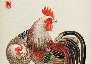 属鸡今年多大年纪2023年，属羊今年多大年纪2023年