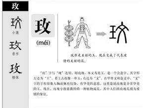 玫的拼音怎么读音，瑰的拼音