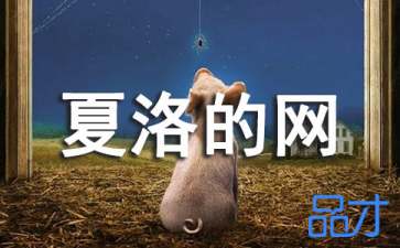 夏洛的网读后感20字二年级，夏洛的网观后感300字作文