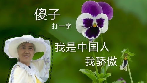 傻瓜打一字是什么，傻瓜打一字谜语