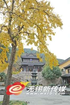 道观什么意思