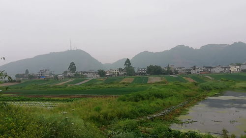 坪的拼音和部首，坪坝的拼音