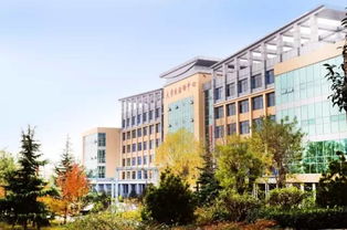山东现代学院怎么样知乎，山东现代学院怎么样是不是野鸡大学