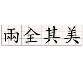 两全其美的意思