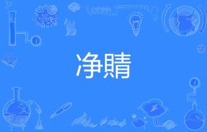 净往的净是什么意思