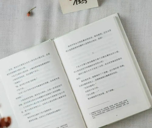 恬静造句30字，恬静造句20个字