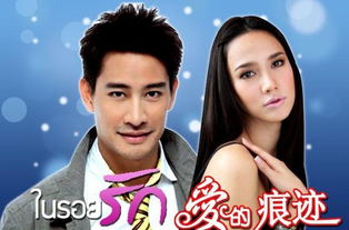 爱的痕迹泰剧普通话版35集，爱的痕迹 电视剧国语版全集