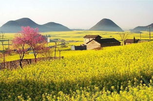 罗平天气预报15天查询 新闻，罗平天气预报30天查询百度百科
