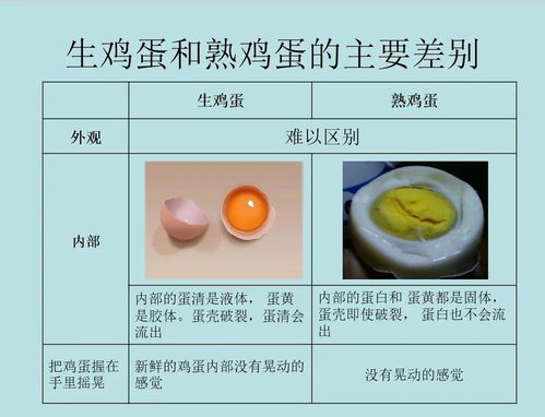 鸡蛋的结构分解图，观察鸡蛋的结构