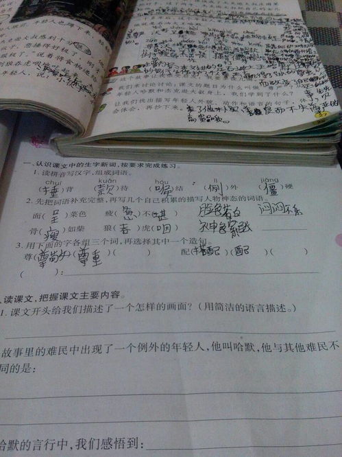 生可以组哪些词?