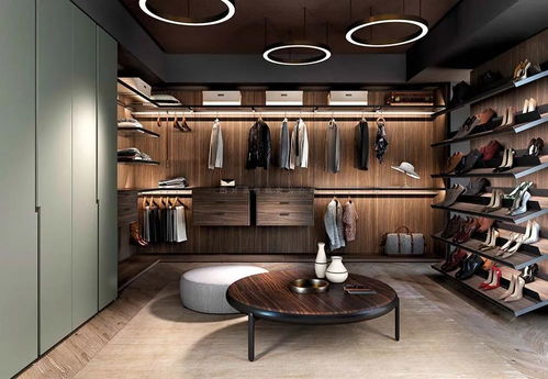 closet是什么意思 解释closet一词的含义?