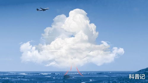 晴空颠簸的介绍