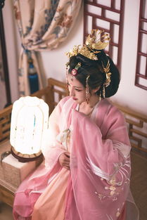 凤仪是什么意思,词语凤仪的解释,汉语词典