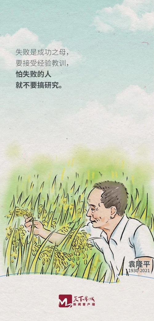 禾下乘凉梦是什么梗