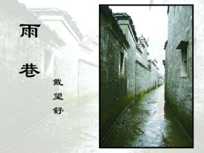 高中语文《雨巷》教案设计