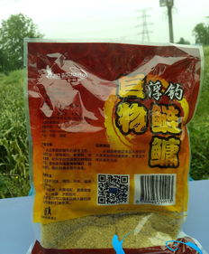 金钩桂饵金钩桂饵文言文翻译
