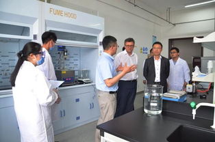 additive数学，preservatives
