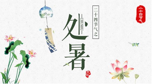 有点骄傲打一节气名谜底，有点骄傲(打一节气名)谜底是什么