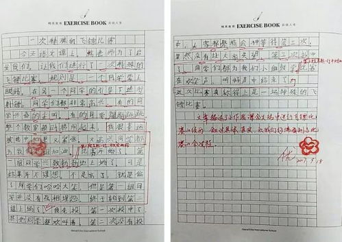 初二写人作文:最特别的你_600字