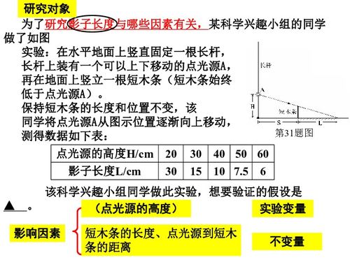 探究的意思是什么