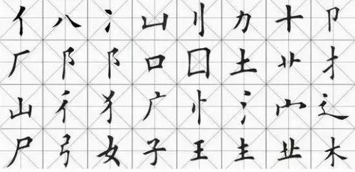 氏部首组词，氏部首查字法查什么