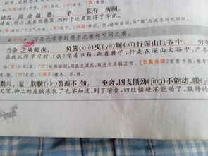宋濂送东阳马生序文言文翻译