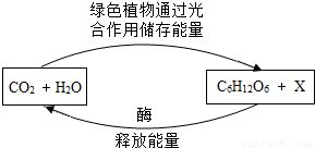 沼气成分有哪些?
