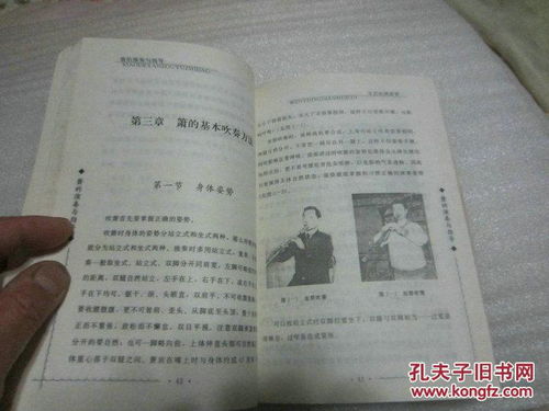 客有吹洞箫者句式结构，客有吹洞箫者句式正常语序