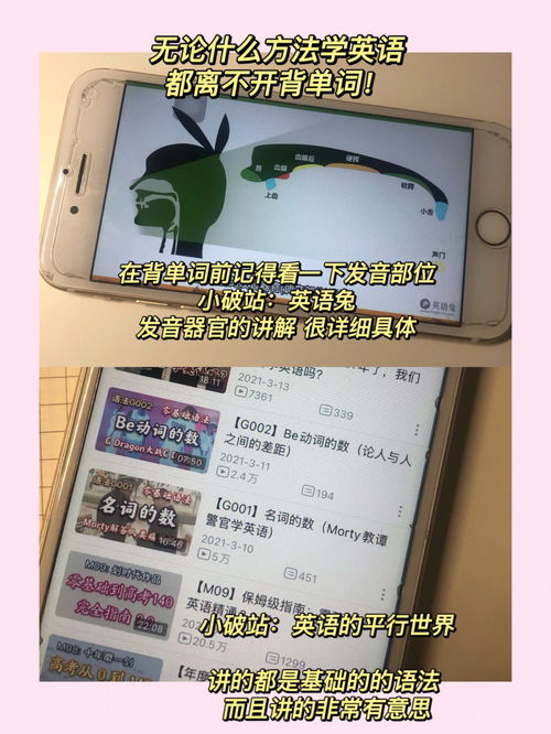 电视的英文单词TV书写，电视的英文单词怎么写?