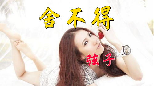 舍不得弦子原版mp3，舍不得弦子歌词含义