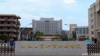 陕西专科学校分数线2023，陕西专科学校就业率排名