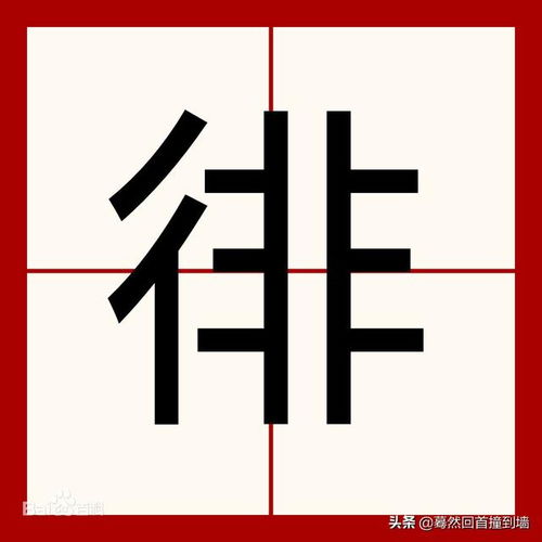 徘的组词是什么意思啊，徘的组词组什么