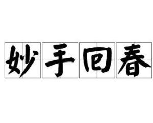 妙手回春的意思是什么?