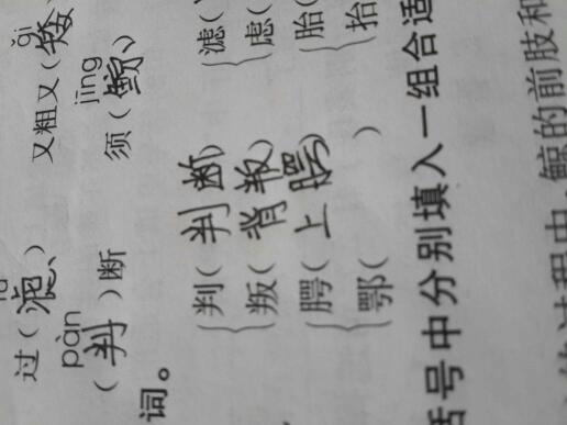 镀可以组什么词语和拼音，生可以组什么词语