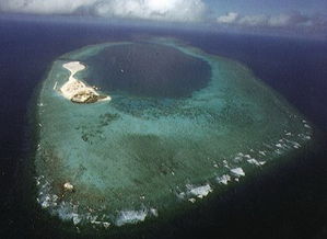 shoal of fish，shoal翻译