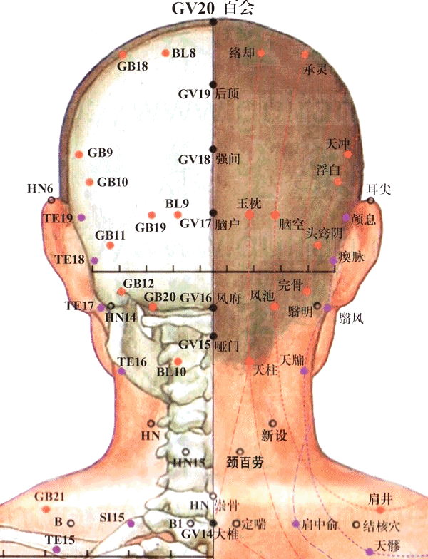 穴位怎么读音