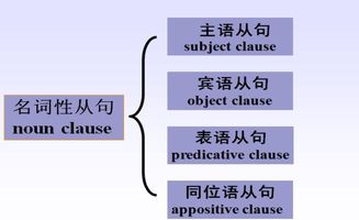 定语从句是什么意思，条件从句是什么意思