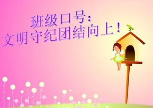 班级口号霸气押韵大全，班级口号霸气押韵24字