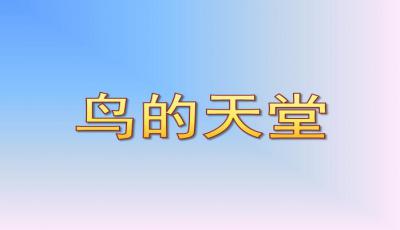 鸟的天堂教案