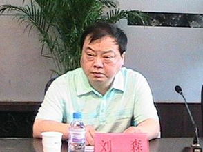刘森是乐队吗