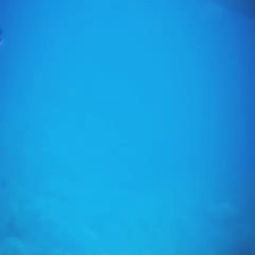 starfish翻译，starfish翻译中文