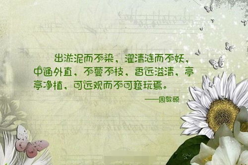 净组词有哪些，溪组词