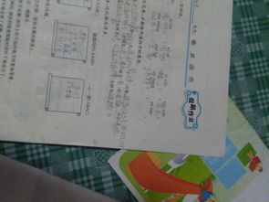 辫怎么读 辫的拼音是什么