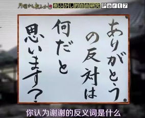 谢的反义词是什么意思，一年级反义词100个