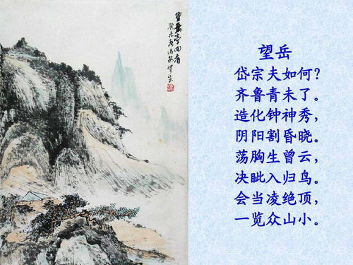 古诗望岳杜甫，古诗望岳阳楼