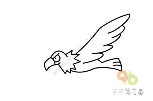 鹰字笔顺